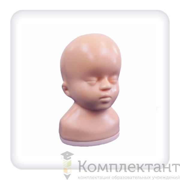 Фантом головы новорожденного с гидроцефалией для отработки навыков ультразвукового исследования